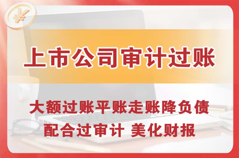 连山上市公司审计过账
